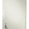 LEITZ Ordnerregister 1201 Vollformat, Überbreite A-Z grau 20-teilig, 10 Satz