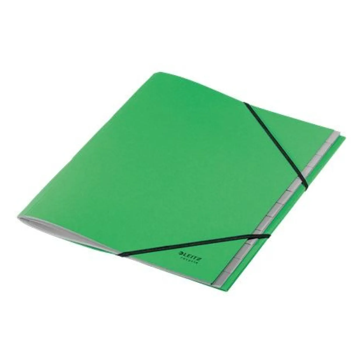 LEITZ Ordnungsmappe recycle 3915 12 Fächer grün