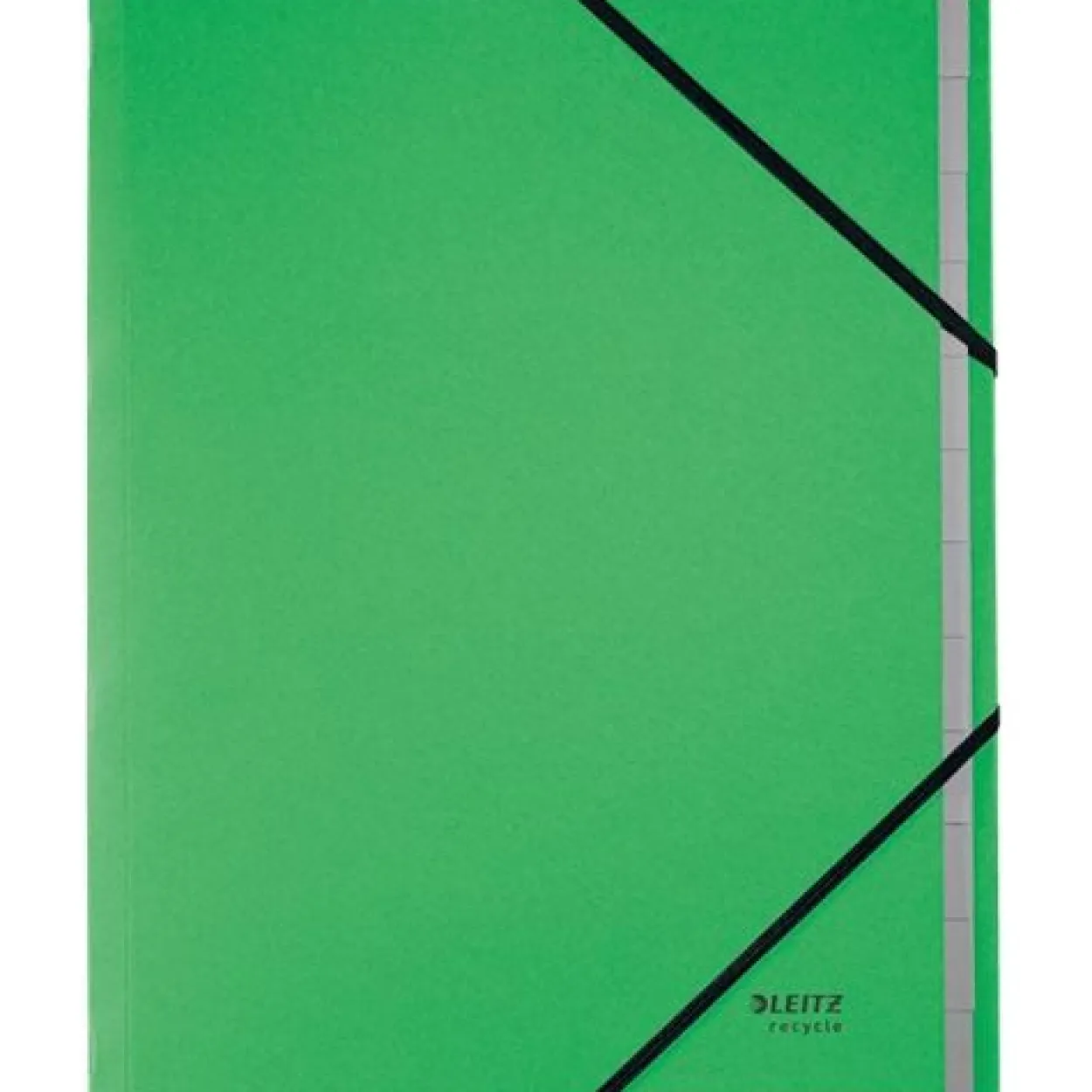 LEITZ Ordnungsmappe recycle 3915 12 Fächer grün