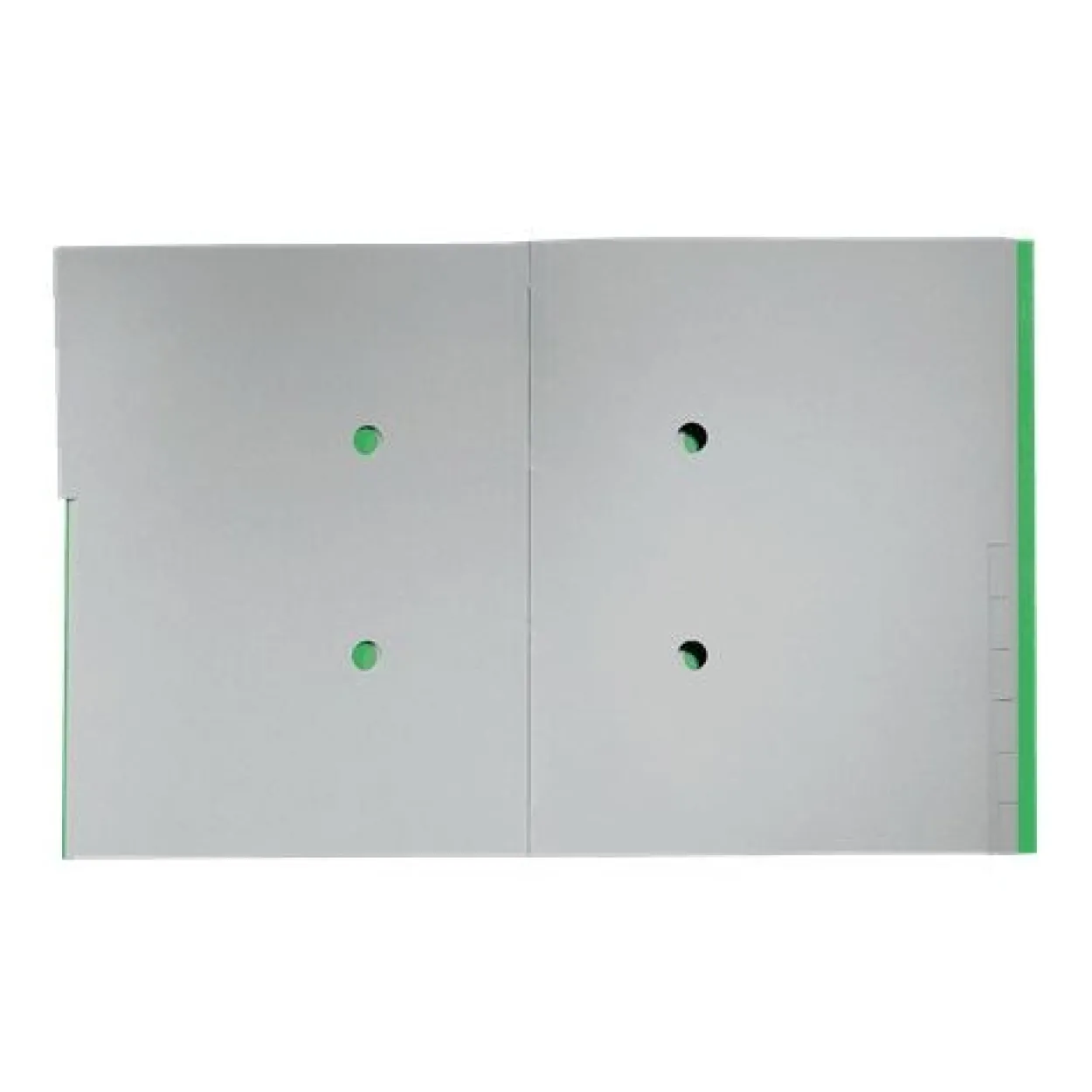 LEITZ Ordnungsmappe recycle 3915 12 Fächer grün