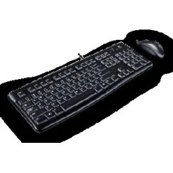 Logitech Desktop MK120 Englisch (US) USB schwarz
