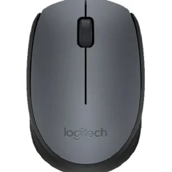 Logitech M170 USB grau (kabellos)