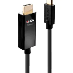 1.00m Lindy Video-Adapterkabel, 4K, USB C male /