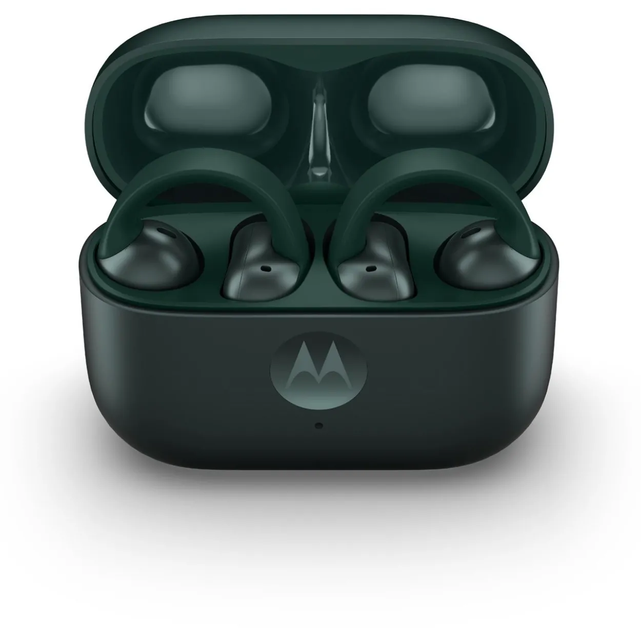 MOTOROLA moto buds loop In-Ear-Kopfhörer grün
