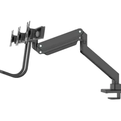 Neomounts by Newstar Flat Screen Desk mount 27-60cm 10-27Zoll, schwarz