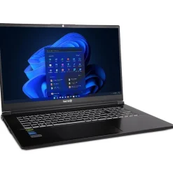 Notebook 17.3