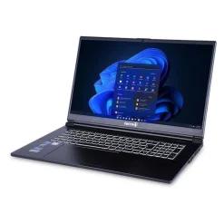 Notebook 17.3
