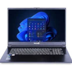 Notebook 17.3