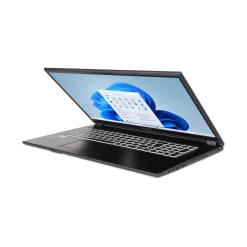 Notebook 17.3