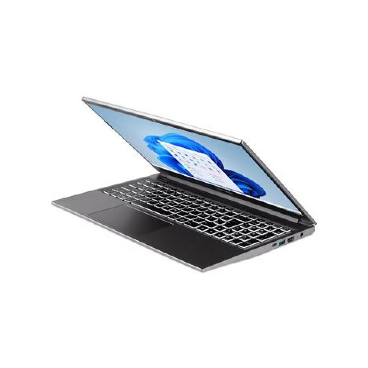Notebook 15.6" (39,62cm) Terra MOBILE 1517R i3-1315U W11