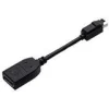 PNY Displayport Adapter Mini Displayport Stecker auf DisplayPort Buchse Schwarz
