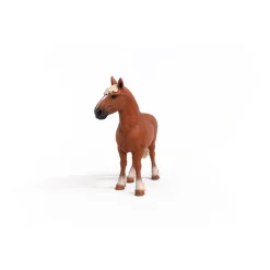 Schleich Horse Club Belgische Zuchtstute