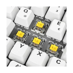 Sharkoon Gaming Tastatur Skiller SGK50S2 PBT wei?-gelb RGB