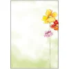 SIGEL Motivpapier Spring Flowers Motiv DIN A4 90 g/qm 50 Blatt