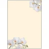 SIGEL Motivpapier White Orchid Motiv DIN A4 90 g/qm 50 Blatt