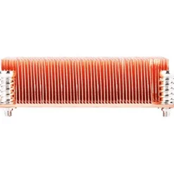 Silverstone XE01-2011 Passiv