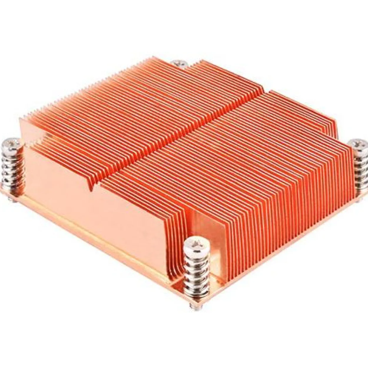 Silverstone XE01-2011 Passiv