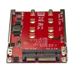 Startech DUAL M.2 zu SATA Raid Adapter
