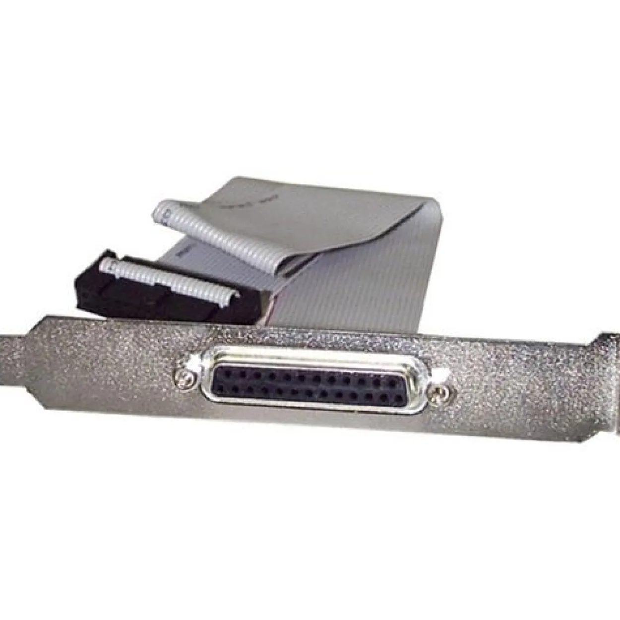Startech Slotblende für Parallel Port (PLATE25F16)
