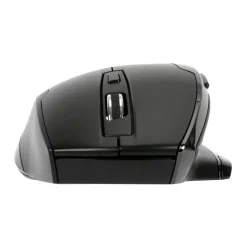 Targus AMW584GL 2.4 GHz schwarz/silber (kabellos)