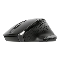 Targus AMW584GL 2.4 GHz schwarz/silber (kabellos)
