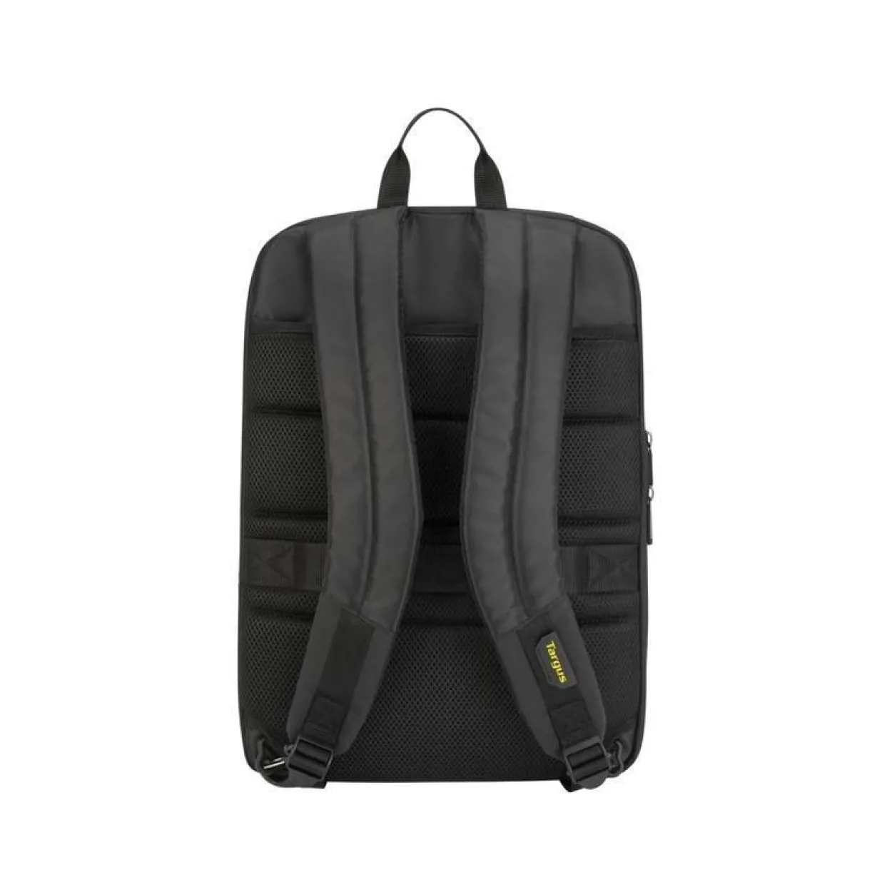 Targus CityGear 39,62cm 15,6Zoll Convertible Multi Fit
