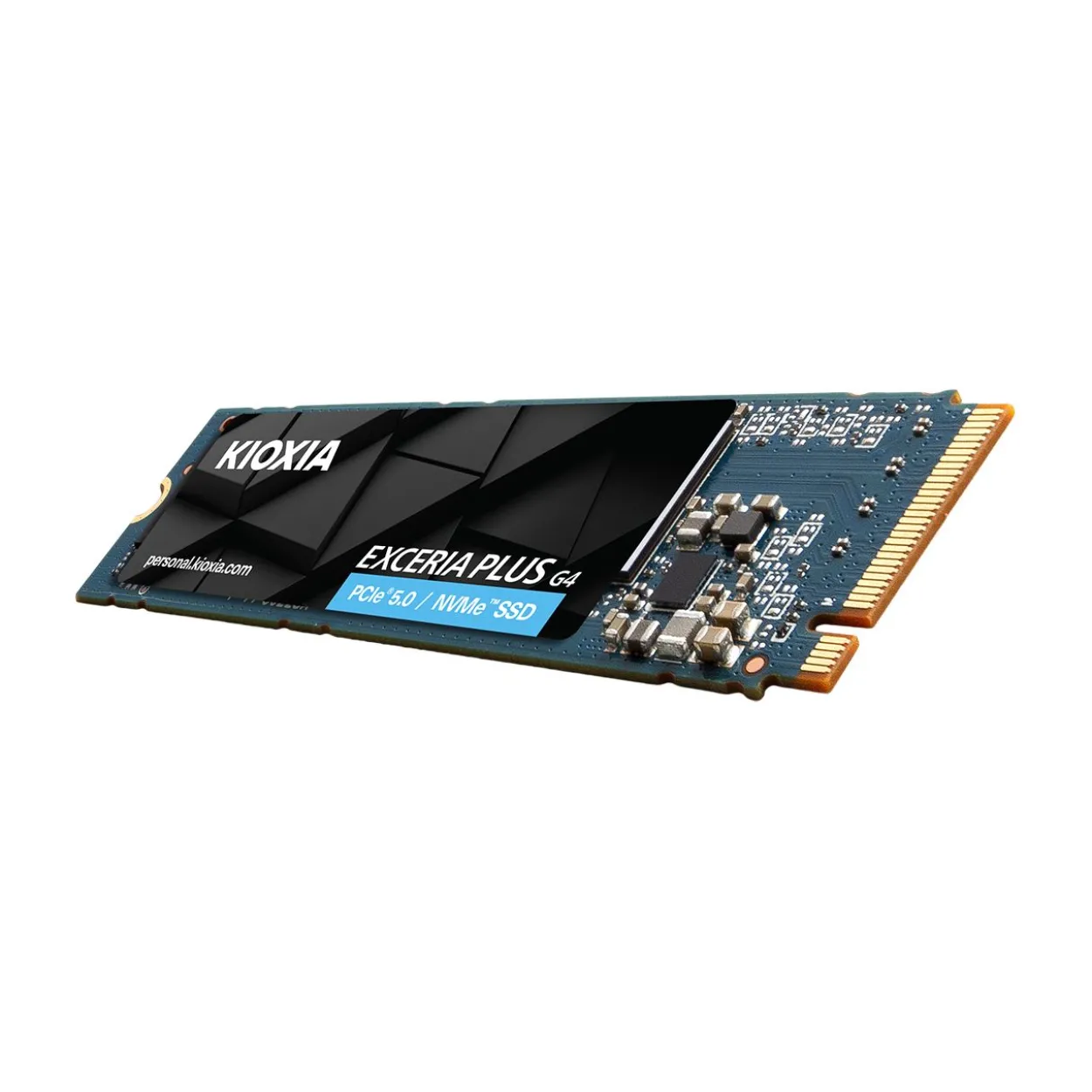 2TB KIOXIA Exceria Plus G4 M.2 2280 PCIe 5.0 x4 3D-NAND TLC (LVD10Z002TG8)
