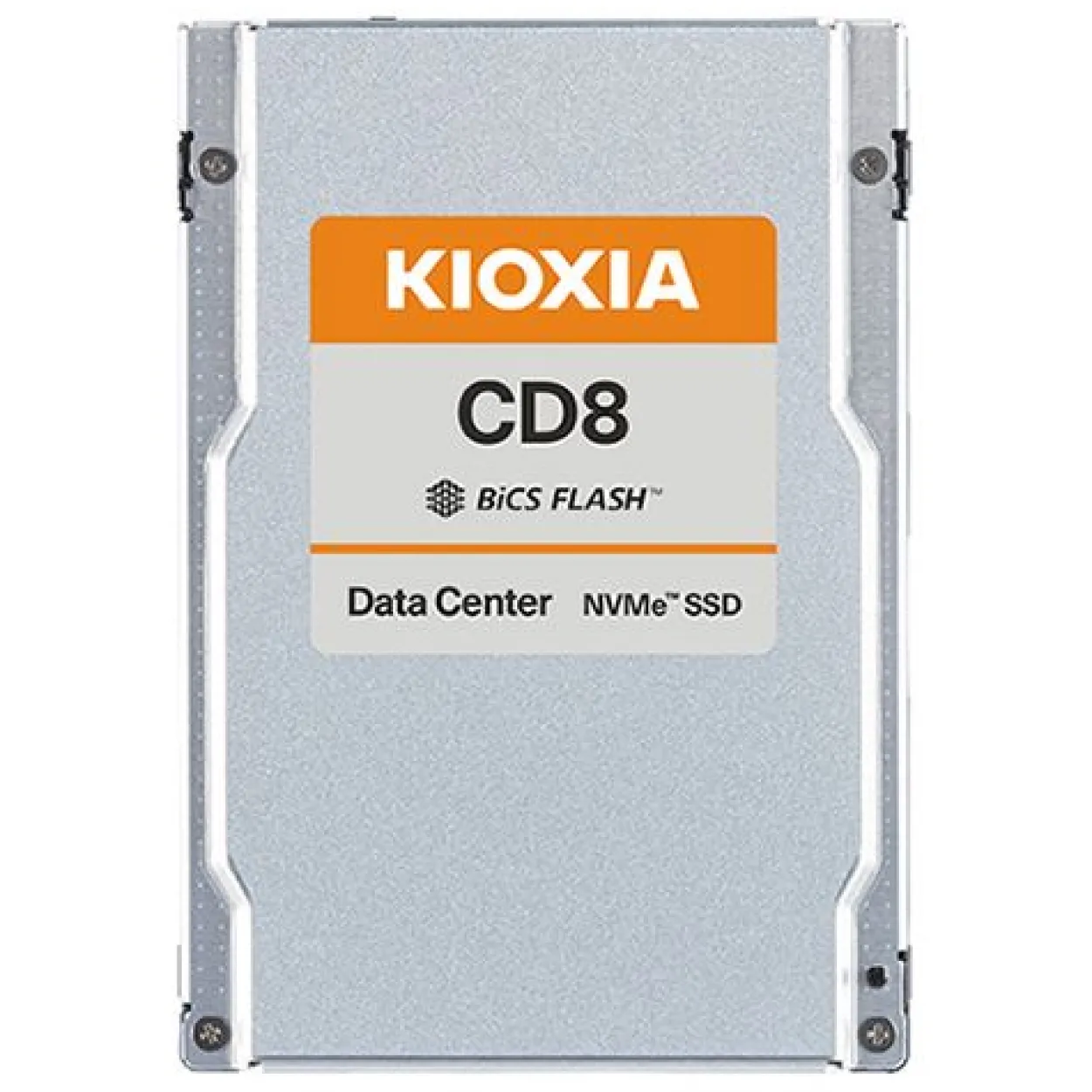 3,2TB KIOXIA SSD U.2 PCIe 4.0 3D TLC (KCD8XVUG3T20)