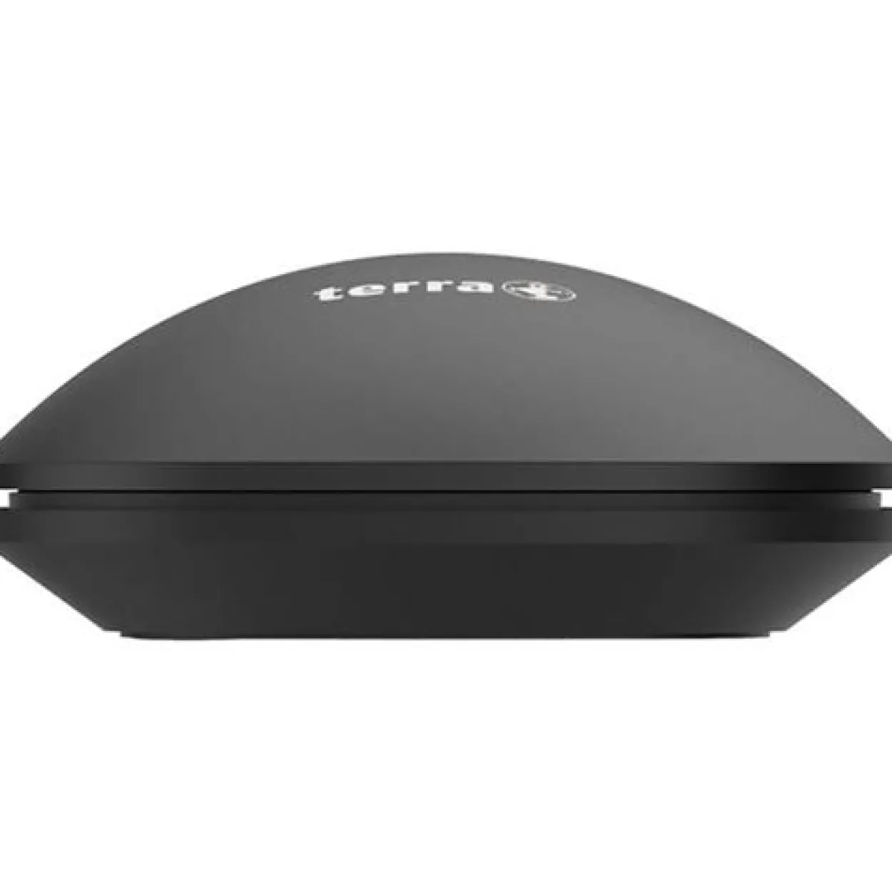 Terra NBM1000S 2.4 GHz & Bluetooth schwarz (kabellos)