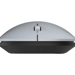 Terra NBM1000S 2.4 GHz & Bluetooth silber (kabellos)