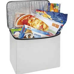 WEDO BigBox Cooler Kühltasche, 16,5 Liter, hellgrau